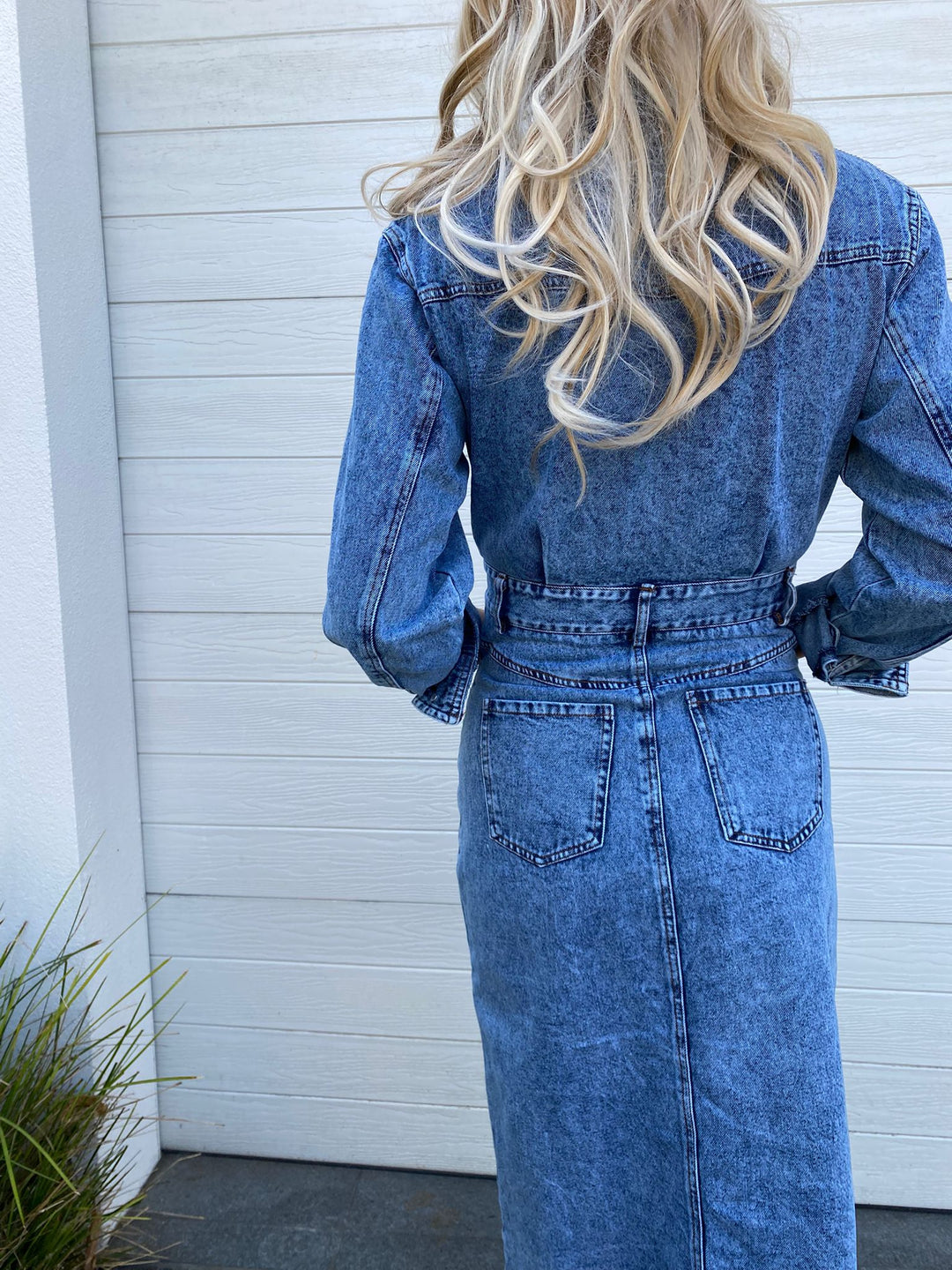 Taylor Denim Dress