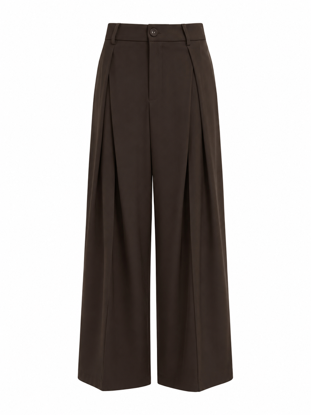 Wide-Leg Pleated Trousers — Brown