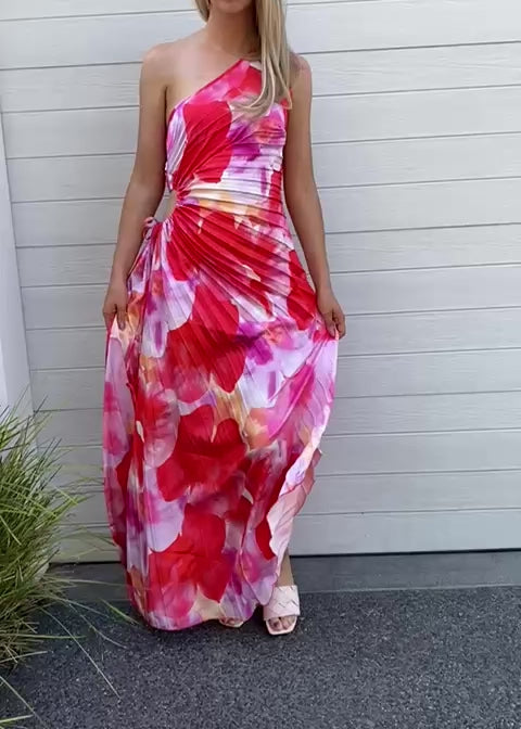 Camelia pleat dress - Pink and red floral print
